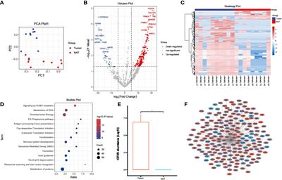 Proteomics analysis of cancer tissues identifies IGF2R as a potential therapeutic target in laryngeal carcinoma